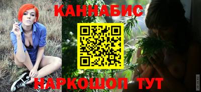 PSILOCYBIN Гатчина