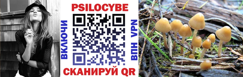 Псилоцибиновые грибы Psilocybe Добрянка