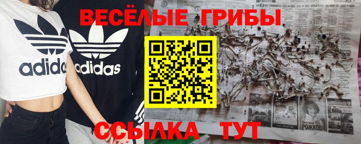 дарнет шоп  Добрянка  Галлюциногенные грибы Psilocybine cubensis 