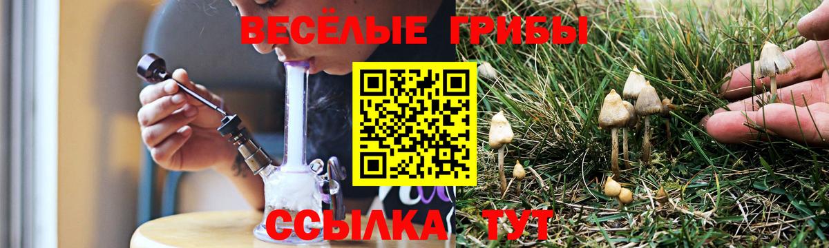 Добрянка  купить наркотик  Вход с VPN  Псилоцибиновые грибы GOLDEN TEACHER 